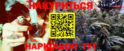 шишки Будённовск