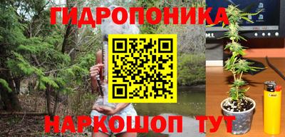 шишки Будённовск