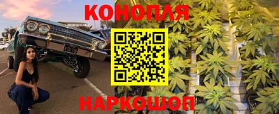 шишки Будённовск