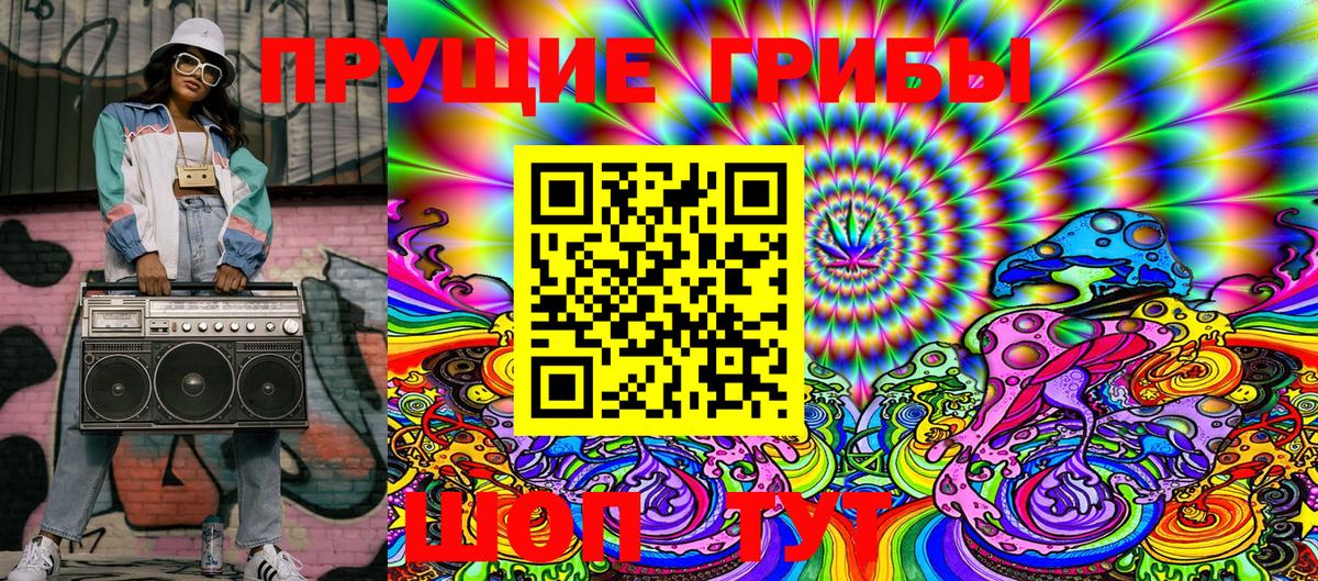 Псилоцибиновые грибы Psilocybe Кулебаки