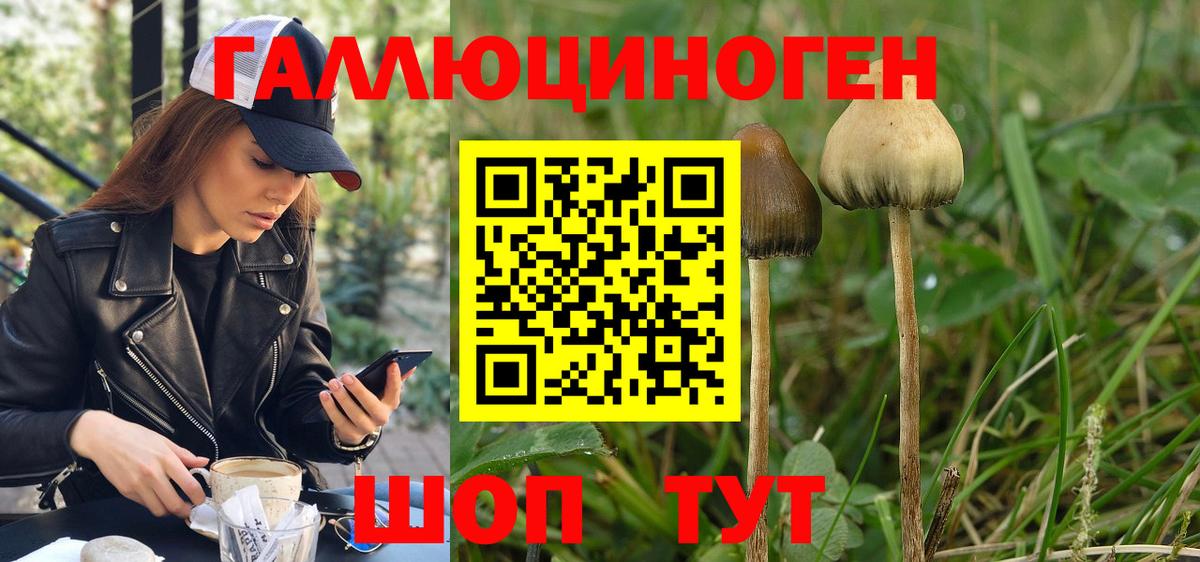Галлюциногенные грибы Magic Shrooms  Псилоцибиновые грибы Psilocybine cubensis  Кулебаки  Вход с VPN 